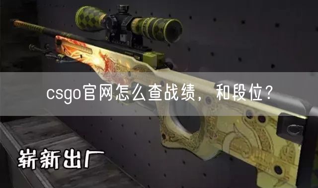 csgo官网怎么查战绩，和段位？