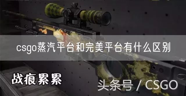 csgo蒸汽平台和完美平台有什么区别