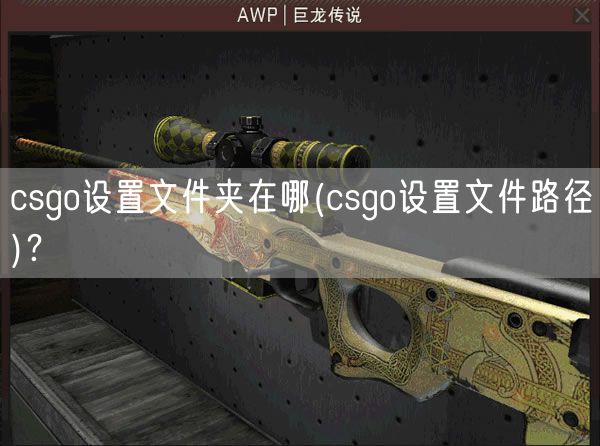 csgo设置文件夹在哪(csgo设置文件路径)？