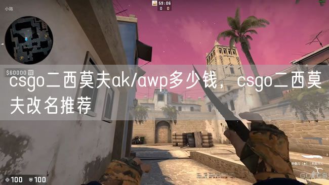 csgo二西莫夫ak/awp多少钱，csgo二西莫夫改名推荐