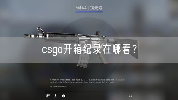 csgo开箱纪录在哪看？