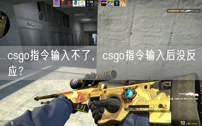 csgo指令输入不了，csgo指令输入后没反应？