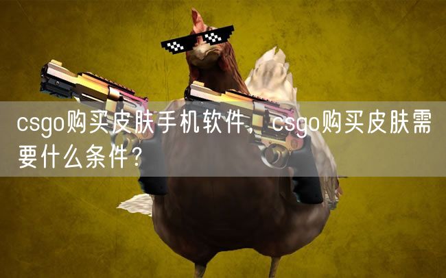 csgo购买皮肤手机软件，csgo购买皮肤需要什么条件？