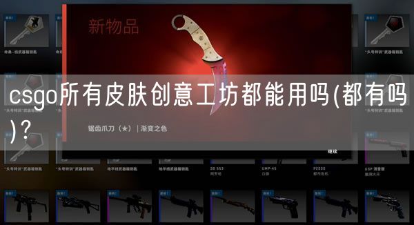 csgo所有皮肤创意工坊都能用吗(都有吗)？