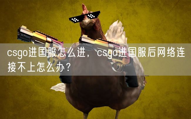 csgo进国服怎么进，csgo进国服后网络连接不上怎么办？