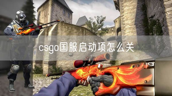 csgo国服启动项怎么关