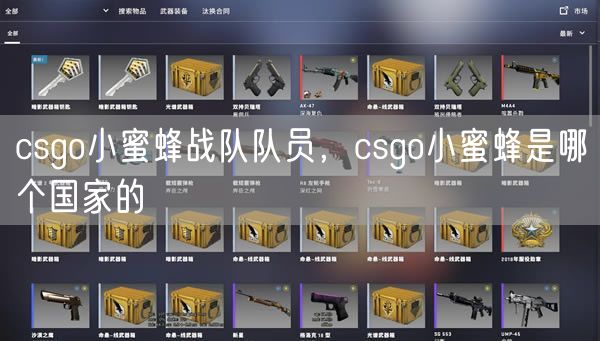 csgo小蜜蜂战队队员，csgo小蜜蜂是哪个国家的