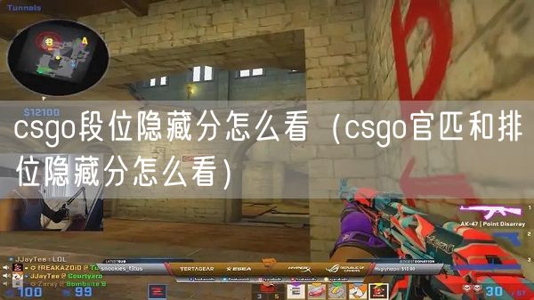 csgo段位隐藏分怎么看（csgo官匹和排位隐藏分怎么看）