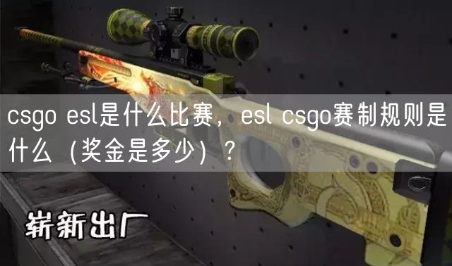 csgo esl是什么比赛，esl csgo赛制规则是什么（奖金是多少）？