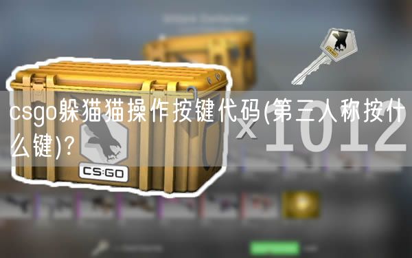 csgo躲猫猫操作按键代码(第三人称按什么键)?