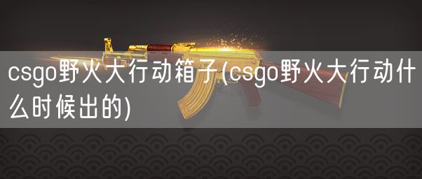 csgo野火大行动箱子(csgo野火大行动什么时候出的)