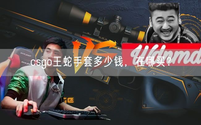 csgo王蛇手套多少钱，在哪买？