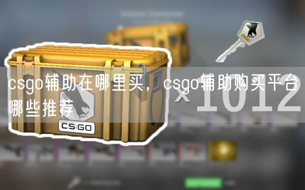 csgo辅助在哪里买，csgo辅助购买平台哪些推荐