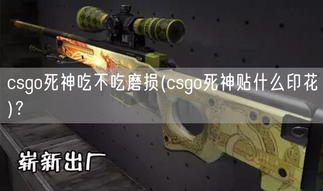 csgo死神吃不吃磨损(csgo死神贴什么印花)？