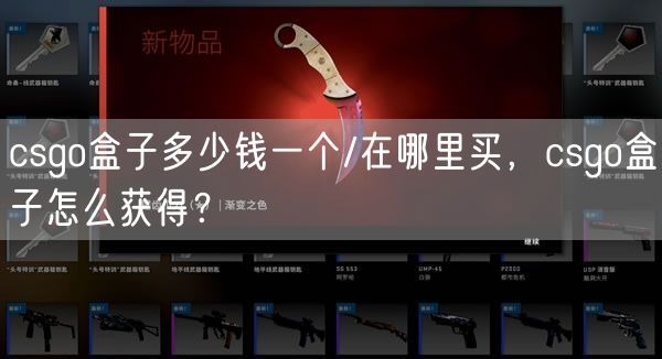 csgo盒子多少钱一个/在哪里买，csgo盒子怎么获得？