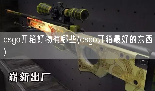 csgo开箱好物有哪些(csgo开箱最好的东西)