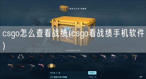 csgo怎么查看战绩(csgo看战绩手机软件)