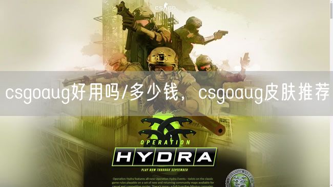 csgoaug好用吗/多少钱，csgoaug皮肤推荐