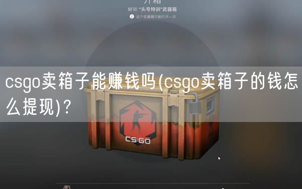 csgo卖箱子能赚钱吗(csgo卖箱子的钱怎么提现)？