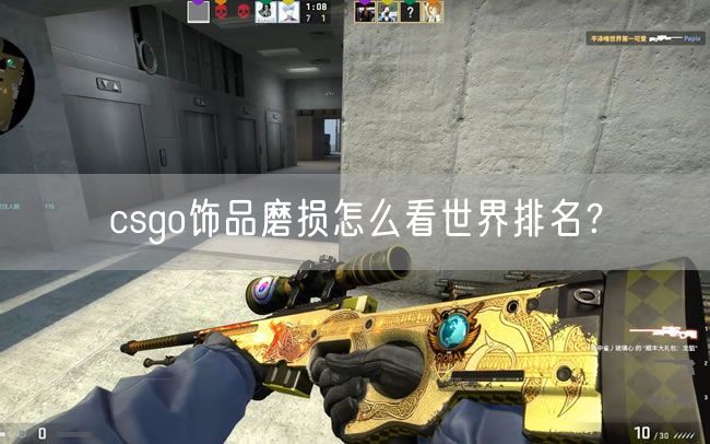 csgo饰品磨损怎么看世界排名？