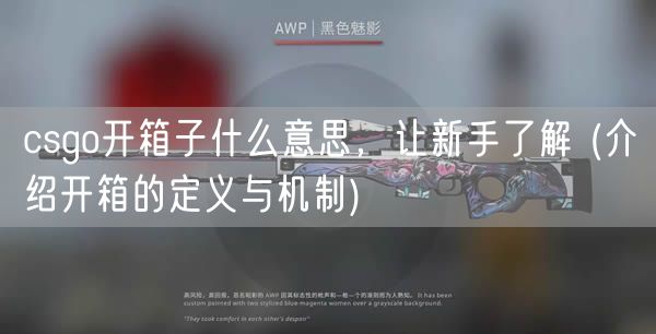 csgo开箱子什么意思，让新手了解 (介绍开箱的定义与机制)