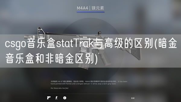 csgo音乐盒statTrak与高级的区别(暗金音乐盒和非暗金区别)