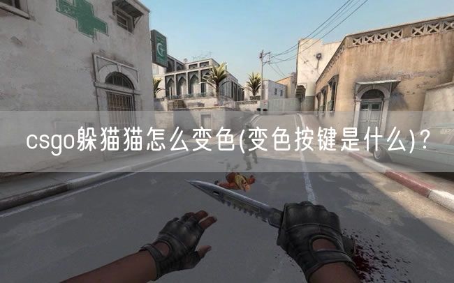 csgo躲猫猫怎么变色(变色按键是什么)？