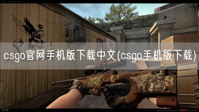 csgo官网手机版下载中文(csgo手机版下载)