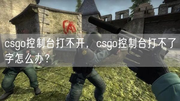 csgo控制台打不开，csgo控制台打不了字怎么办？