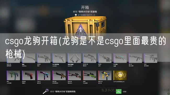 csgo龙驹开箱(龙驹是不是csgo里面最贵的枪械)