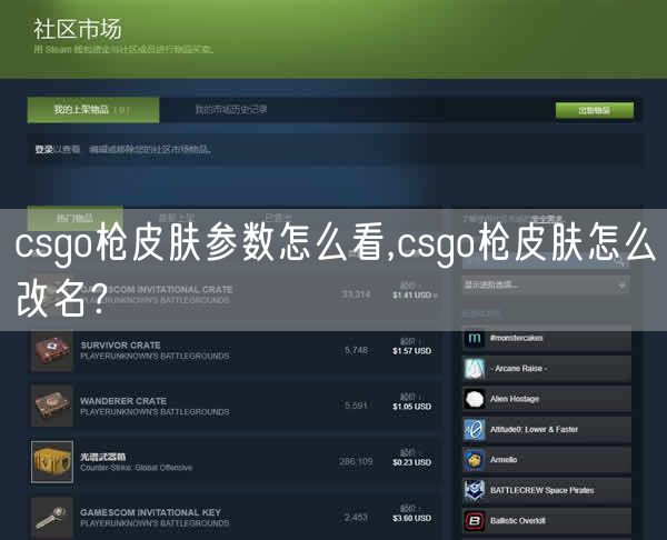 csgo枪皮肤参数怎么看,csgo枪皮肤怎么改名？