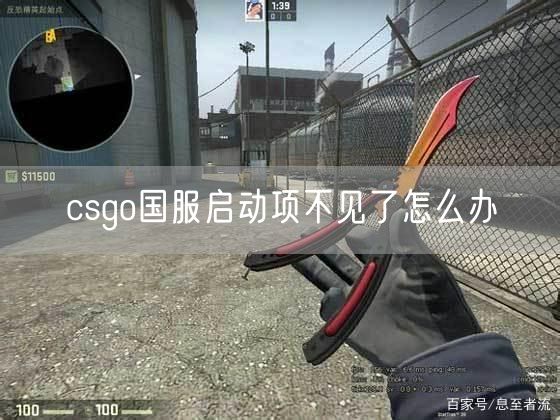 csgo国服启动项不见了怎么办