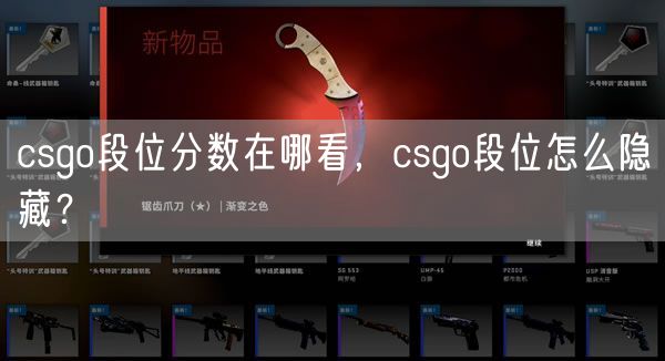 csgo段位分数在哪看，csgo段位怎么隐藏？