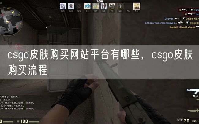 csgo皮肤购买网站平台有哪些，csgo皮肤购买流程