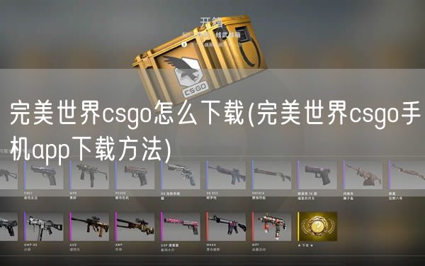 完美世界csgo怎么下载(完美世界csgo手机app下载方法)