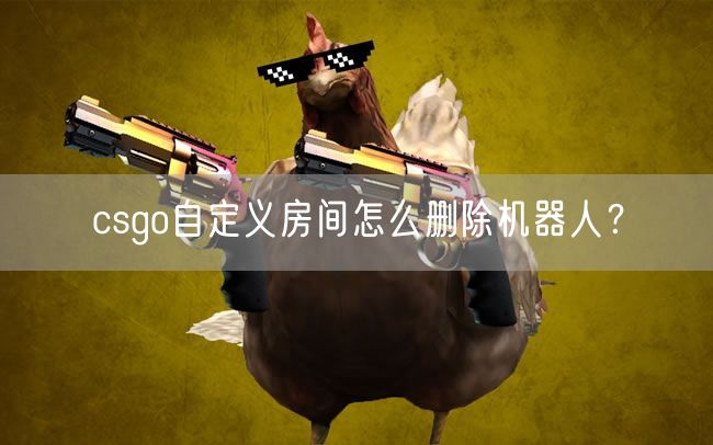 csgo自定义房间怎么删除机器人？