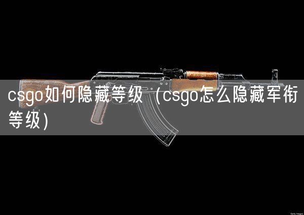 csgo如何隐藏等级（csgo怎么隐藏军衔等级）