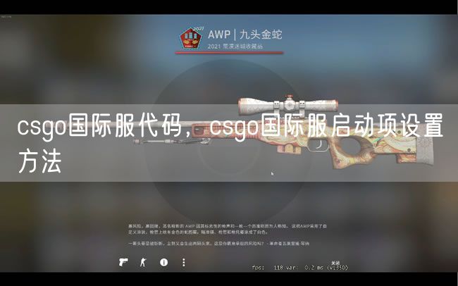 csgo国际服代码，csgo国际服启动项设置方法