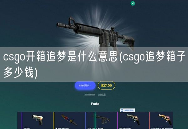 csgo开箱追梦是什么意思(csgo追梦箱子多少钱)