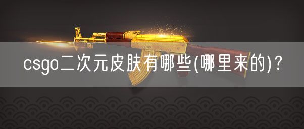 csgo二次元皮肤有哪些(哪里来的)？