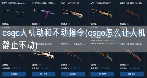 csgo人机动和不动指令(csgo怎么让人机静止不动)