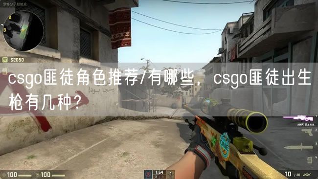 csgo匪徒角色推荐/有哪些，csgo匪徒出生枪有几种？