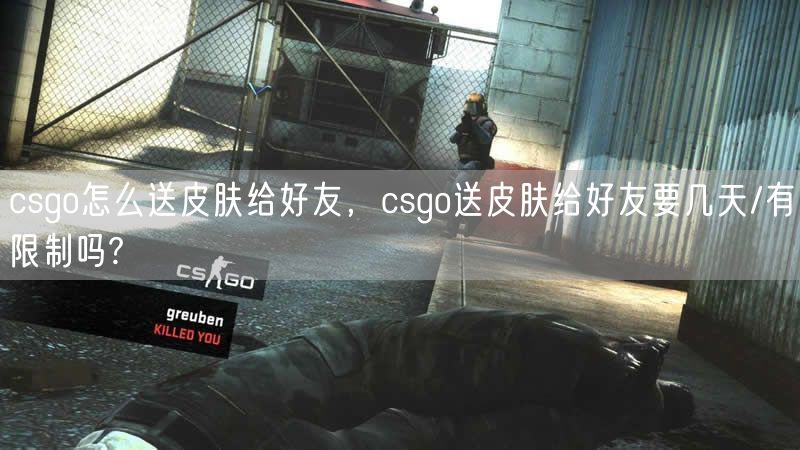 csgo怎么送皮肤给好友，csgo送皮肤给好友要几天/有限制吗?