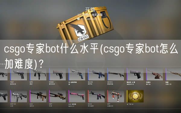 csgo专家bot什么水平(csgo专家bot怎么加难度)？