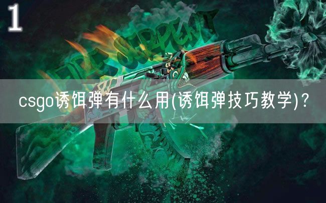 csgo诱饵弹有什么用(诱饵弹技巧教学)？