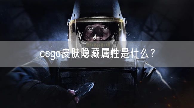 csgo皮肤隐藏属性是什么？