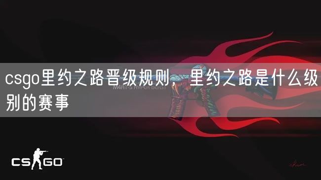 csgo里约之路晋级规则，里约之路是什么级别的赛事？