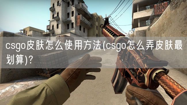 csgo皮肤怎么使用方法(csgo怎么弄皮肤最划算)?