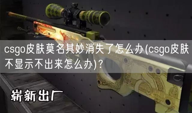 csgo皮肤莫名其妙消失了怎么办(csgo皮肤不显示不出来怎么办)？