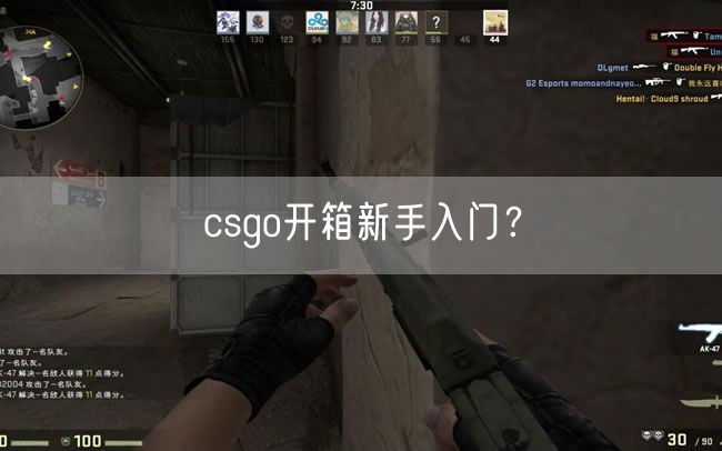 csgo开箱新手入门？